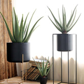 TU23 Artificial Plant-Weilai Concept-Weilai Concept