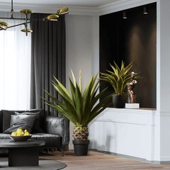 Decoration: Artificial Plant-Weilai Concept-Weilai Concept