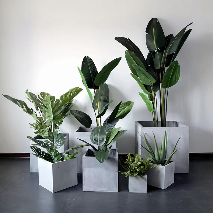 MI50 Plant Stands, More Size Available-Weilai Concept-Weilai Concept